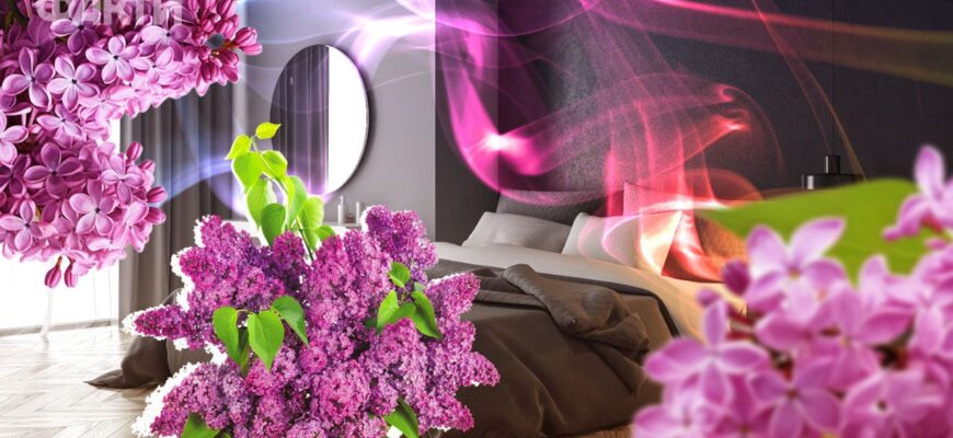 Чи безпечно тримати бузок у спальні: поради та рекомендації експертів