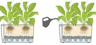 Як ефективно використовувати Автополив для квітів: покрокова інструкція