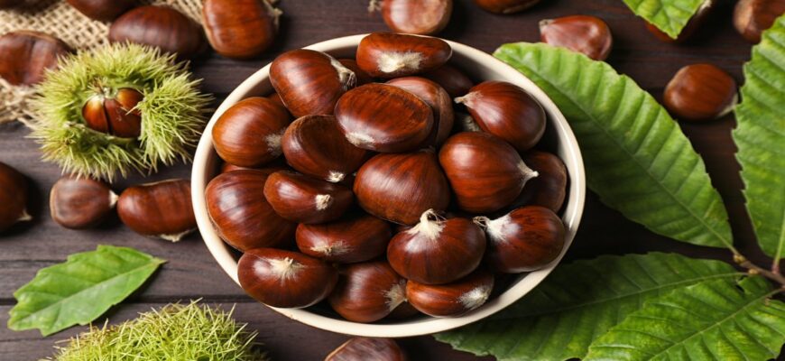 Які каштани можна їсти: поради щодо вибору їстівних сортів