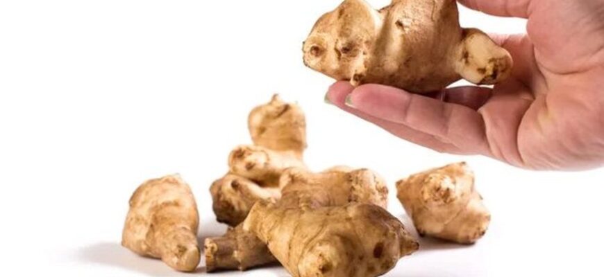 Коли краще їсти топінамбур: оптимальний час для максимальної користі Коли краще їсти топінамбур: оптимальний час для максимальної користі