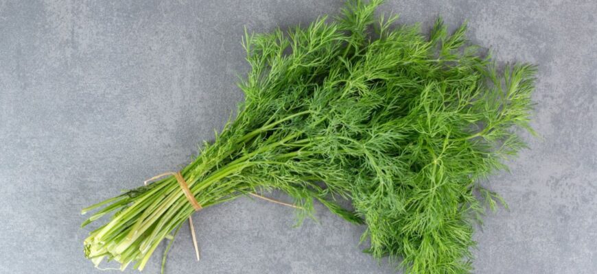 Найкращі способи заморозки кропу: зберігайте свіжість і аромат!