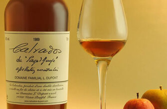 Чим кальвадос і сидр відрізняються: ключові аспекти та відмінності