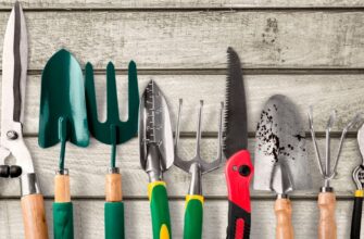 Ефективні засоби для дезінфекції садових інструментів: обираємо найкраще