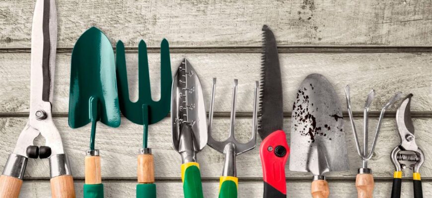 Ефективні засоби для дезінфекції садових інструментів: обираємо найкраще