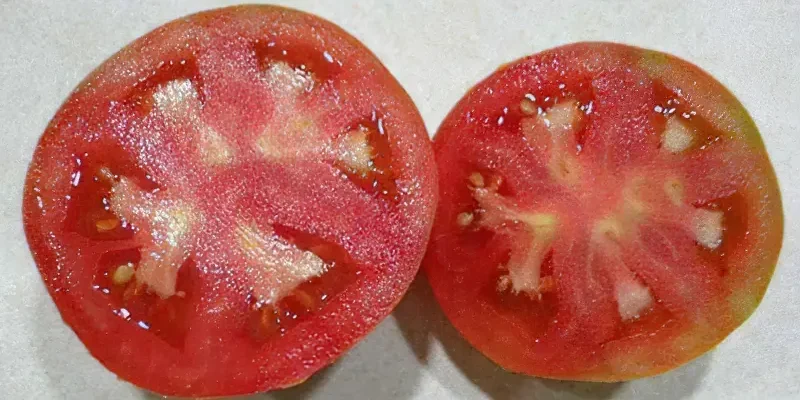 Причини твердої серцевини у помідорів: як вирішити проблему?