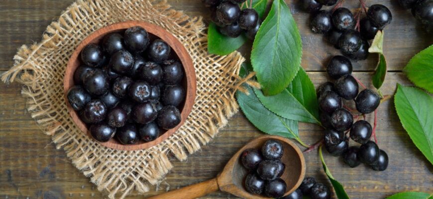 Чи корисно та безпечно вживати сік із чорноплідної горобини щодня?