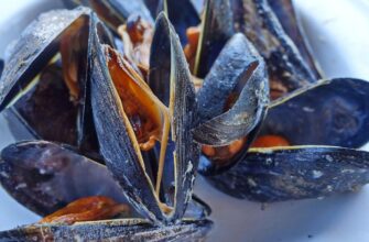 Чи можна їсти річкові мідії: безпечність та особливості вживання