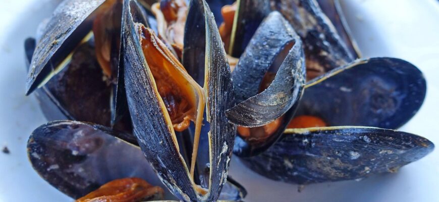 Чи можна їсти річкові мідії: безпечність та особливості вживання