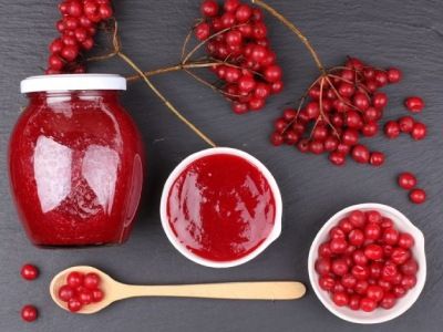 Калина червона — користь та шкода ягід, методи приготування - FitoBlog