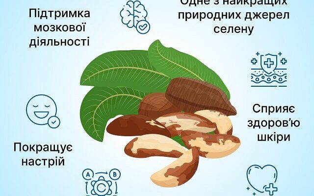 Як правильно їсти бразильський горіх: прості поради та рекомендації