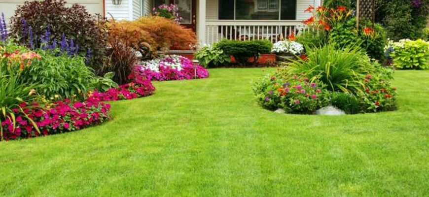 Що любить газон: поради та секрети догляду для ідеальної зеленої трави