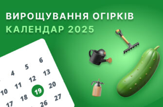 Коли збирати врожай огірків: оптимальний місяць для збору в Україні