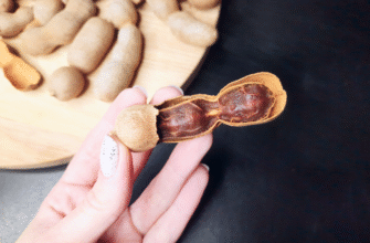 Тамаринд: як їсти екзотичний фрукт і користь для здоров’я