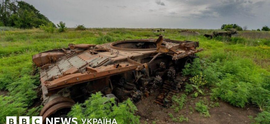 Яку ділянку землі вважають великою: критерії та особливості вибору