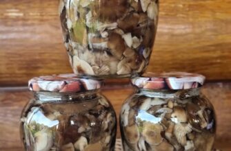 Скільки часу варити опеньки: оптимальні поради для приготування