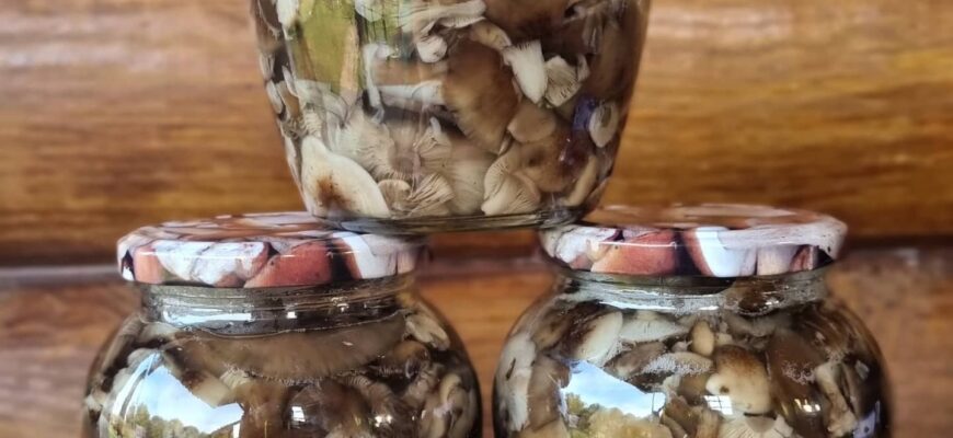 Скільки часу варити опеньки: оптимальні поради для приготування