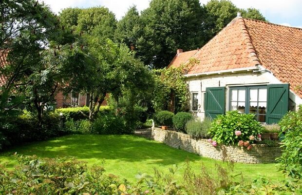 Оптимальний вибір дерев для посадки біля хвіртки вашого будинку