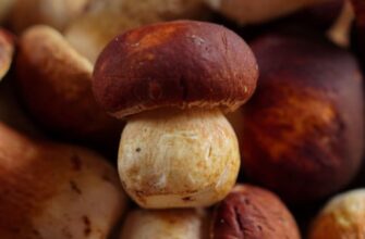 Скільки варити білі гриби: оптимальний час для ідеальної страви