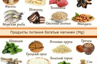 Що можна їсти при каменях в жовчному: поради для здорової дієти