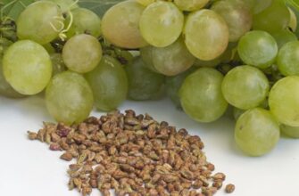 Чи можна їсти виноград з кісточками: відповіді та поради експертів