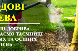 Обираємо найкраще добриво для плодових дерев: поради та рекомендації