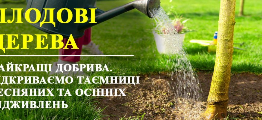 Обираємо найкраще добриво для плодових дерев: поради та рекомендації