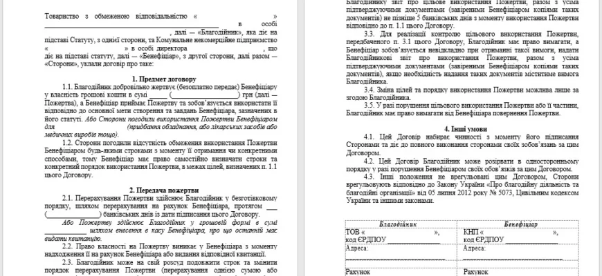 Безповоротна фінансова допомога від засновника: як отримати?