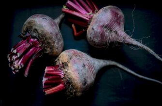 Значення сну про буряки: тлумачення бачення на городі, збору чи полоти