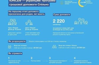 Допомога від ЮНІСЕФ багатодітним сім’ям: як подати заявку?