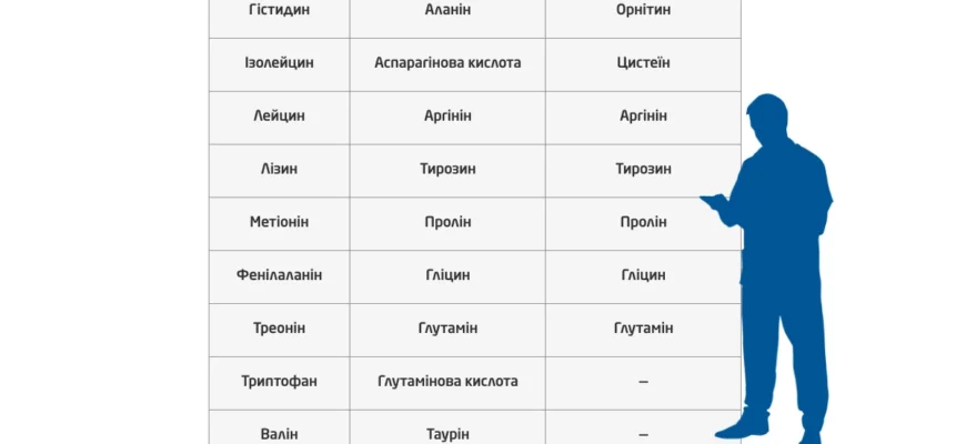 Яка амінокислота є замінною: повний гід по есенціальним білкам