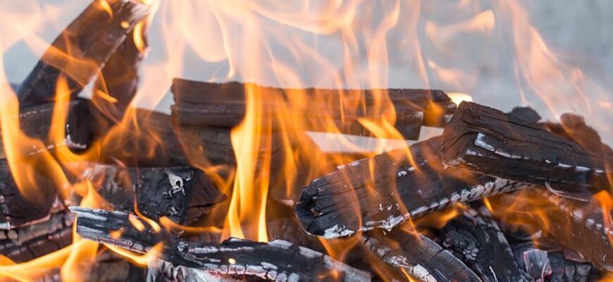 Що обрати: вугілля чи дерево? Порівняння для оптимального вибору