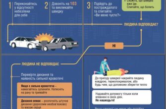Домедична допомога при ДТП: ключові рекомендації та алгоритми дій