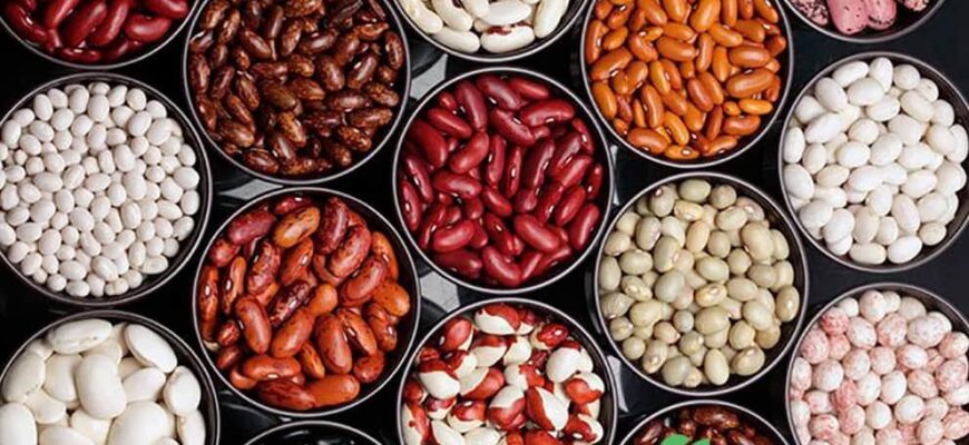 Ефективні методи обробки насіння квасолі для високого врожаю Ефективні методи обробки насіння квасолі для високого врожаю