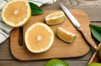 Секрети Світу: Як Їсти для Максимального Задоволення та Здоров’я