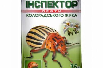 Ефективні засоби для знищення личинок колорадського жука: поради садівникам