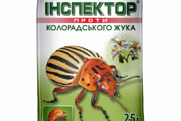 Ефективні засоби для знищення личинок колорадського жука: поради садівникам