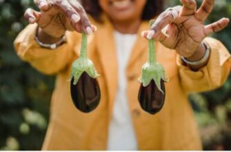 Коли найкраще пікірувати баклажани у квітні: поради та терміни