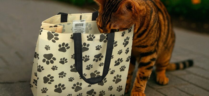 Екосумки Rendpacoeco: стильний та практичний вибір для всіх і кожного