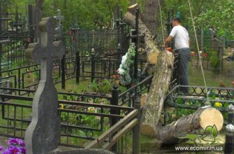 Хто відповідальний за зрізання дерев на кладовищах: закон та практика