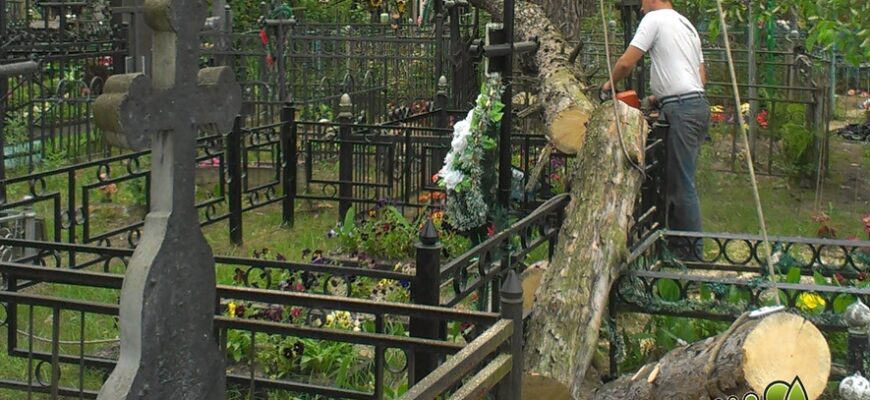 Хто відповідальний за зрізання дерев на кладовищах: закон та практика