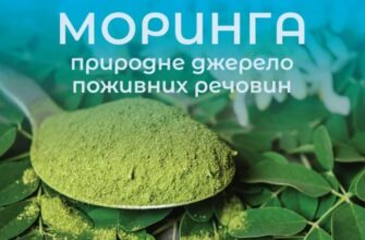 Оптимальний час споживання морінги: рекомендації для найкращого ефекту