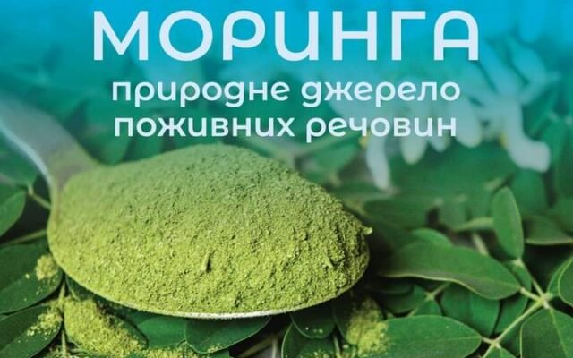 Оптимальний час споживання морінги: рекомендації для найкращого ефекту