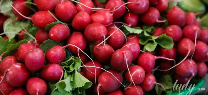Де найкраще зберігати редиску: оптимальні умови для свіжості продукту