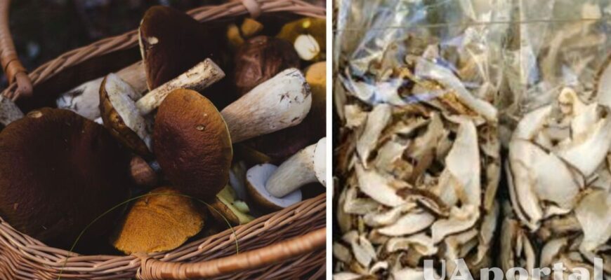 Як правильно сушити гриби в електричній духовці: крок за кроком