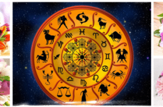 Які квіти підійдуть для жінки-Близнюка: вибір ідеального букета