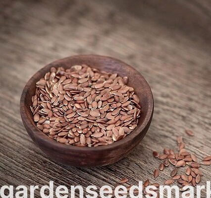 За скільки днів проростає насіння льону: фактори та поради для успіху