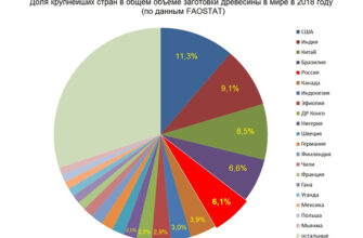 Яка країна має найбільші запаси деревини у світі: лісові ресурси