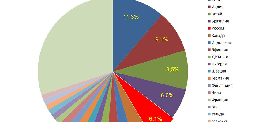 Яка країна має найбільші запаси деревини у світі: лісові ресурси