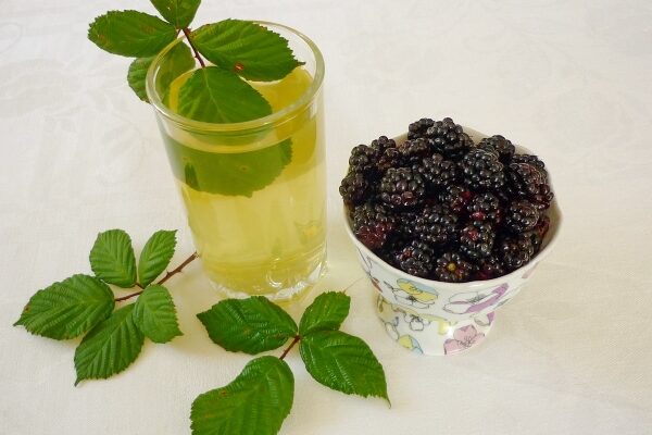 Чи безпечно та корисно пити чай із листя ожини: поради та факти