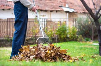 Ефективні способи використання опалого листя на вашій ділянці